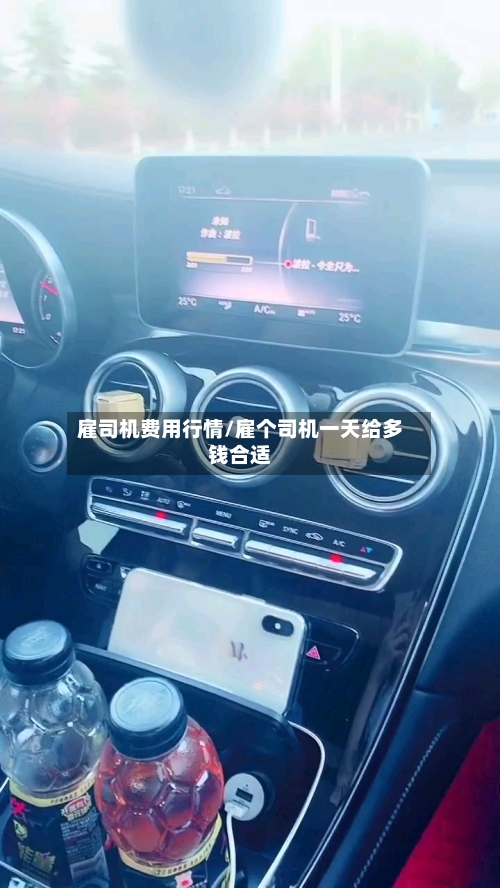 雇司机费用行情/雇个司机一天给多钱合适