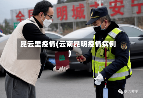 昆云里疫情(云南昆明疫情病例)-第2张图片
