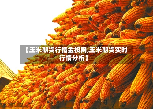 【玉米期货行情金投网,玉米期货实时行情分析】-第1张图片