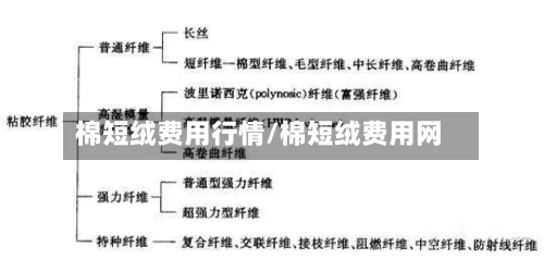 棉短绒费用行情/棉短绒费用网-第2张图片