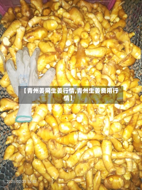 【青州姜网生姜行情,青州生姜费用行情】-第3张图片