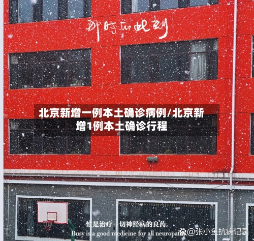 北京新增一例本土确诊病例/北京新增1例本土确诊行程