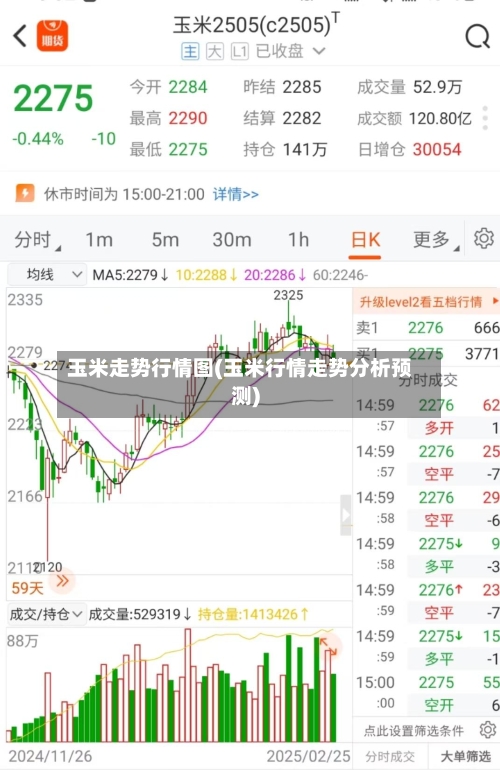 玉米走势行情图(玉米行情走势分析预测)