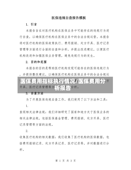 医保费用指标执行情况/医保费用分析报告