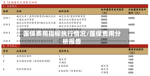 医保费用指标执行情况/医保费用分析报告-第2张图片
