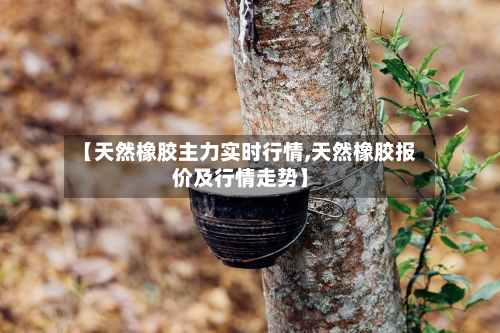 【天然橡胶主力实时行情,天然橡胶报价及行情走势】-第3张图片