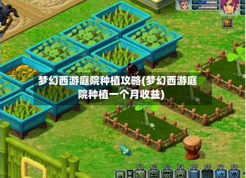 梦幻西游庭院种植攻略(梦幻西游庭院种植一个月收益)-第2张图片