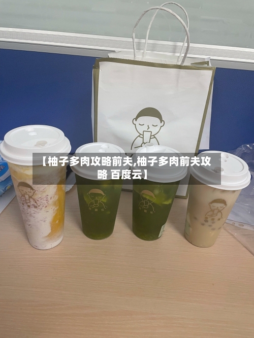 【柚子多肉攻略前夫,柚子多肉前夫攻略 百度云】-第2张图片