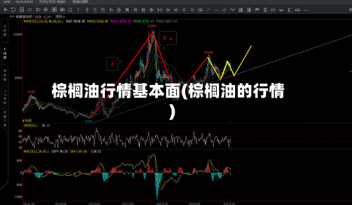 棕榈油行情基本面(棕榈油的行情)