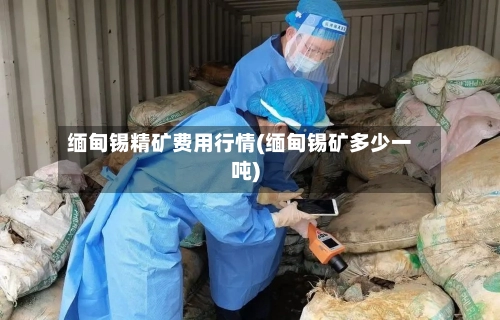 缅甸锡精矿费用行情(缅甸锡矿多少一吨)