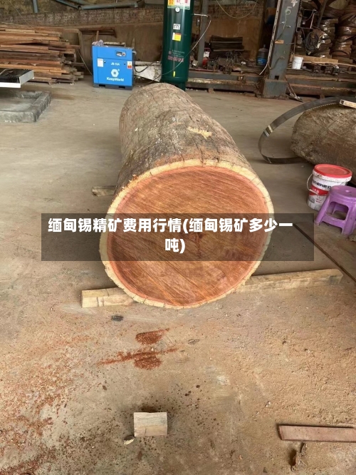 缅甸锡精矿费用行情(缅甸锡矿多少一吨)-第2张图片