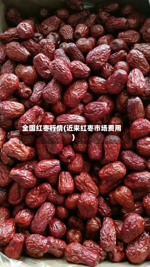 全国红枣行情(近来红枣市场费用)-第2张图片