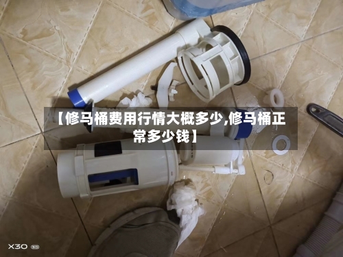 【修马桶费用行情大概多少,修马桶正常多少钱】