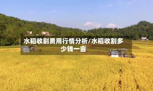 水稻收割费用行情分析/水稻收割多少钱一亩-第2张图片