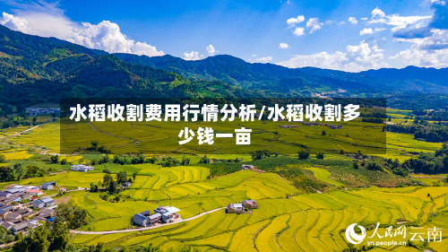 水稻收割费用行情分析/水稻收割多少钱一亩