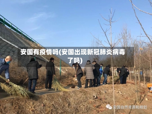 安国有疫情吗(安国出现新冠肺炎病毒了吗)-第3张图片