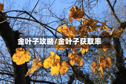 金叶子攻略/金叶子获取率