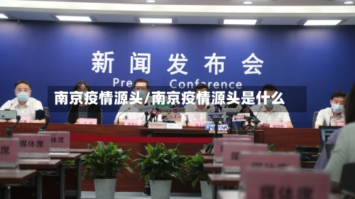南京疫情源头/南京疫情源头是什么-第2张图片