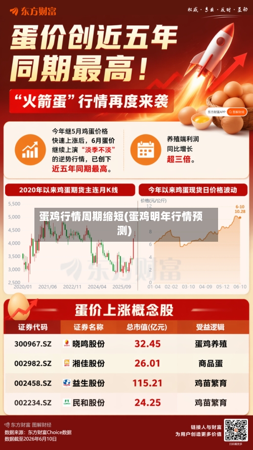 蛋鸡行情周期缩短(蛋鸡明年行情预测)