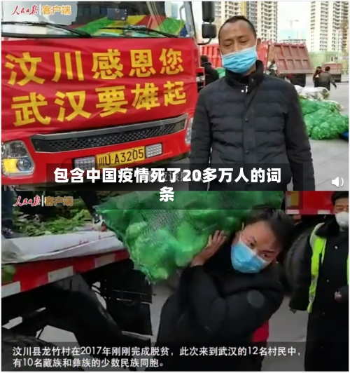 包含中国疫情死了20多万人的词条