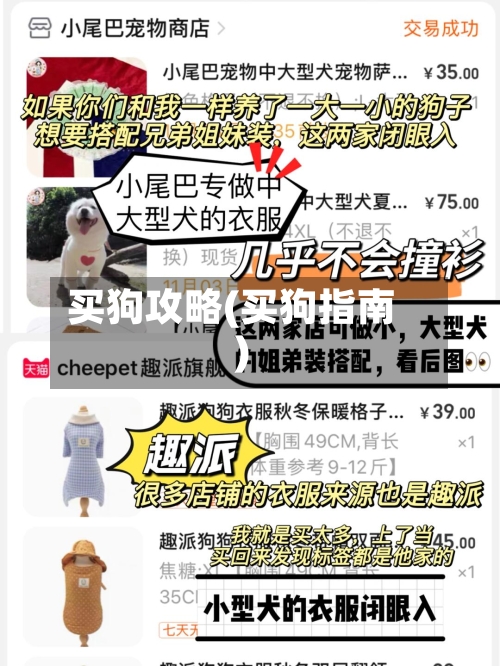 买狗攻略(买狗指南)-第3张图片