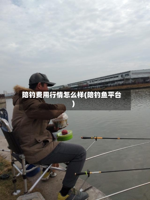 陪钓费用行情怎么样(陪钓鱼平台)-第2张图片