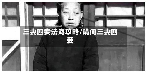 三妻四妾法海攻略/请问三妻四妾