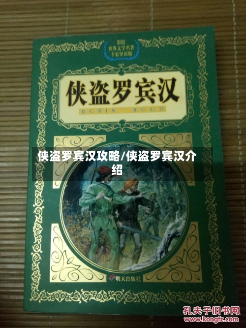 侠盗罗宾汉攻略/侠盗罗宾汉介绍-第3张图片