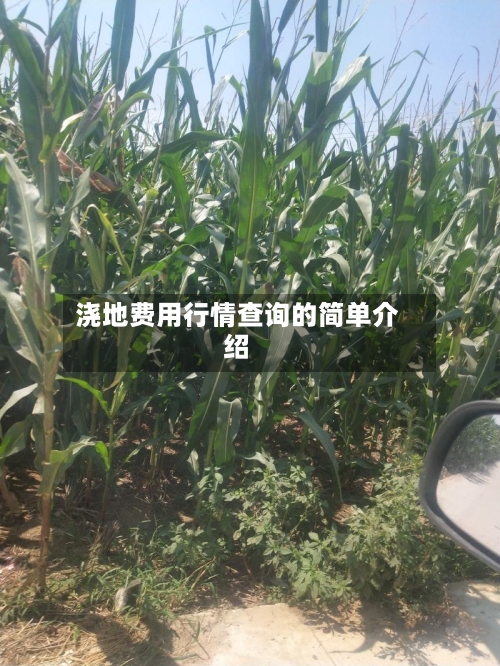 浇地费用行情查询的简单介绍-第3张图片