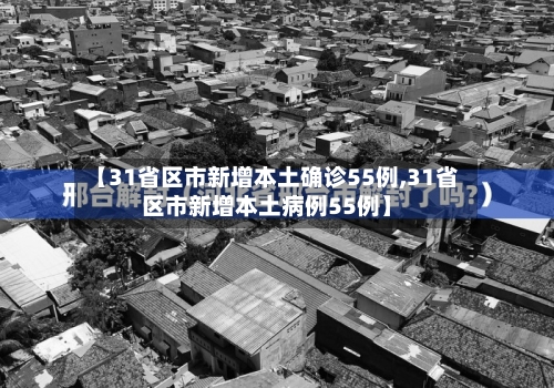 【31省区市新增本土确诊55例,31省区市新增本土病例55例】-第2张图片