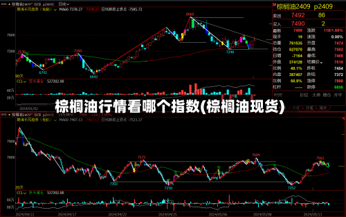 棕榈油行情看哪个指数(棕榈油现货)-第2张图片