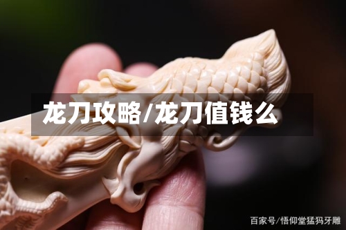 龙刀攻略/龙刀值钱么-第2张图片