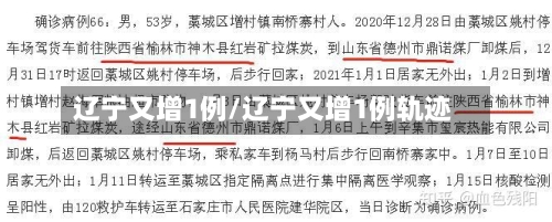 辽宁又增1例/辽宁又增1例轨迹-第2张图片