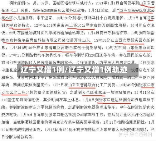 辽宁又增1例/辽宁又增1例轨迹-第3张图片