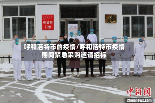 呼和浩特市的疫情/呼和浩特市疫情期间紧急采购邀请招标-第2张图片