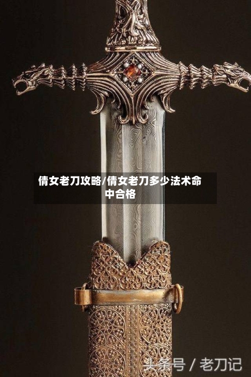 倩女老刀攻略/倩女老刀多少法术命中合格-第2张图片