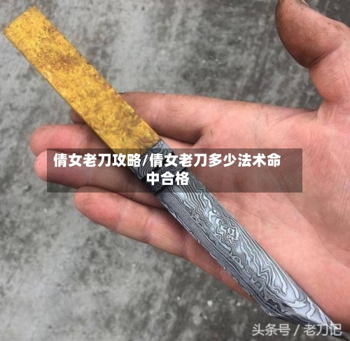 倩女老刀攻略/倩女老刀多少法术命中合格