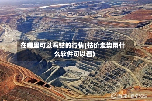在哪里可以看钴的行情(钴价走势用什么软件可以看)-第2张图片