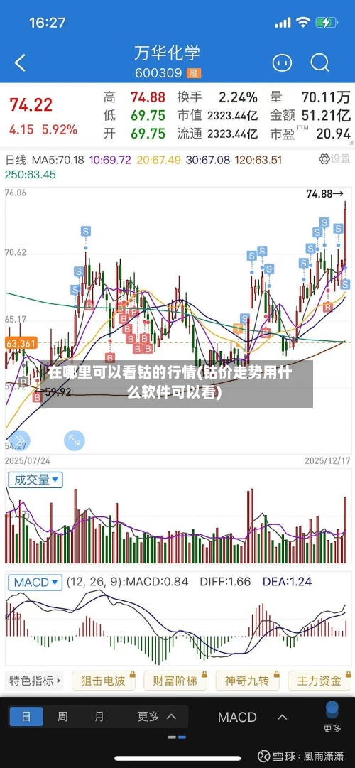 在哪里可以看钴的行情(钴价走势用什么软件可以看)-第3张图片