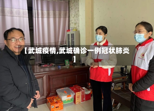 【武城疫情,武城确诊一例冠状肺炎】-第3张图片