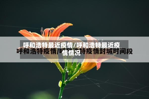 呼和浩特最近疫情/呼和浩特最近疫情情况-第3张图片