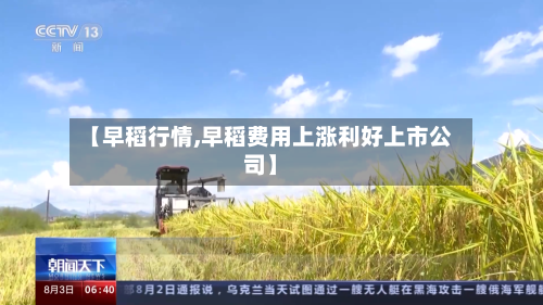 【早稻行情,早稻费用上涨利好上市公司】