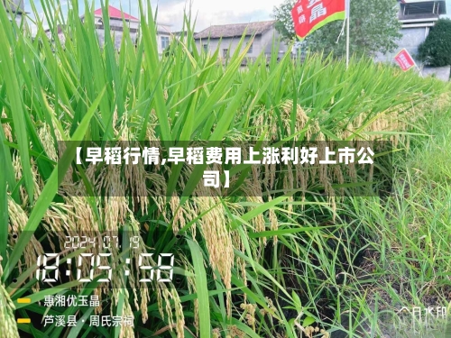 【早稻行情,早稻费用上涨利好上市公司】-第2张图片