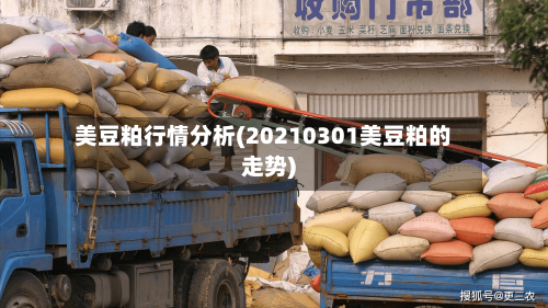 美豆粕行情分析(20210301美豆粕的走势)