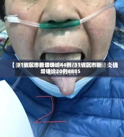 31省区市新增确诊44例/31省区市新增确诊20例8885