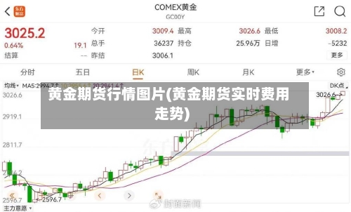 黄金期货行情图片(黄金期货实时费用走势)-第2张图片
