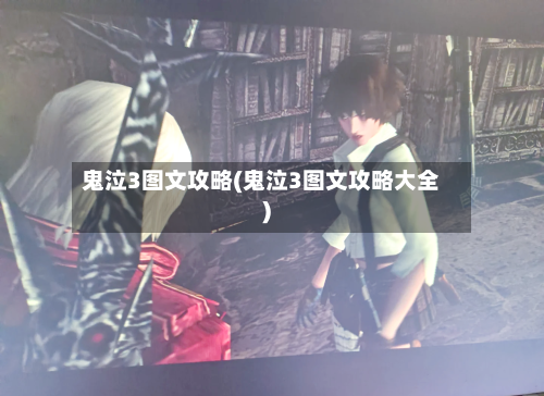 鬼泣3图文攻略(鬼泣3图文攻略大全)