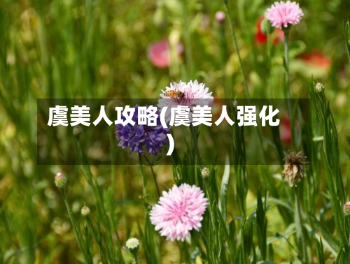 虞美人攻略(虞美人强化)