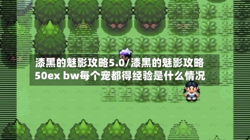 漆黑的魅影攻略5.0/漆黑的魅影攻略50ex bw每个宠都得经验是什么情况