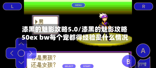 漆黑的魅影攻略5.0/漆黑的魅影攻略50ex bw每个宠都得经验是什么情况-第2张图片